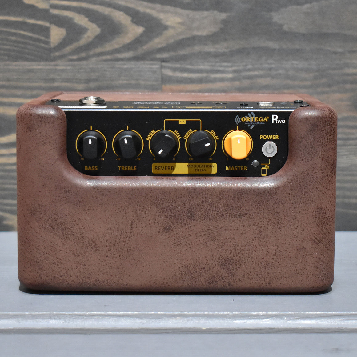Ortega PTWO Pocket Acoustic Guitar Amplifier
