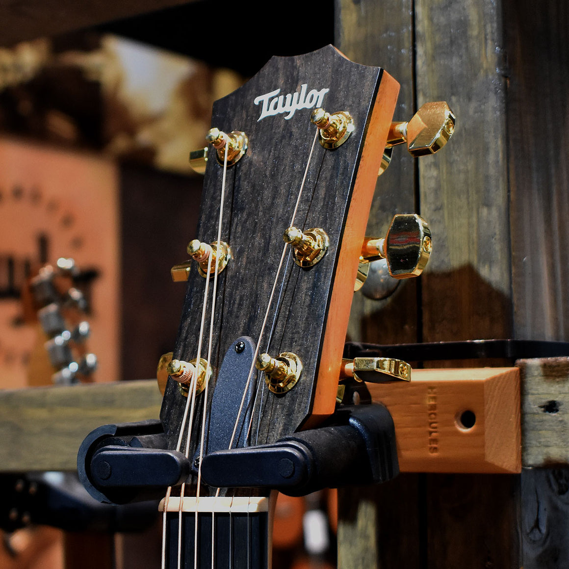 Taylor 224ce-K DLX Electro Acoustic Guitar w/Hard Case
