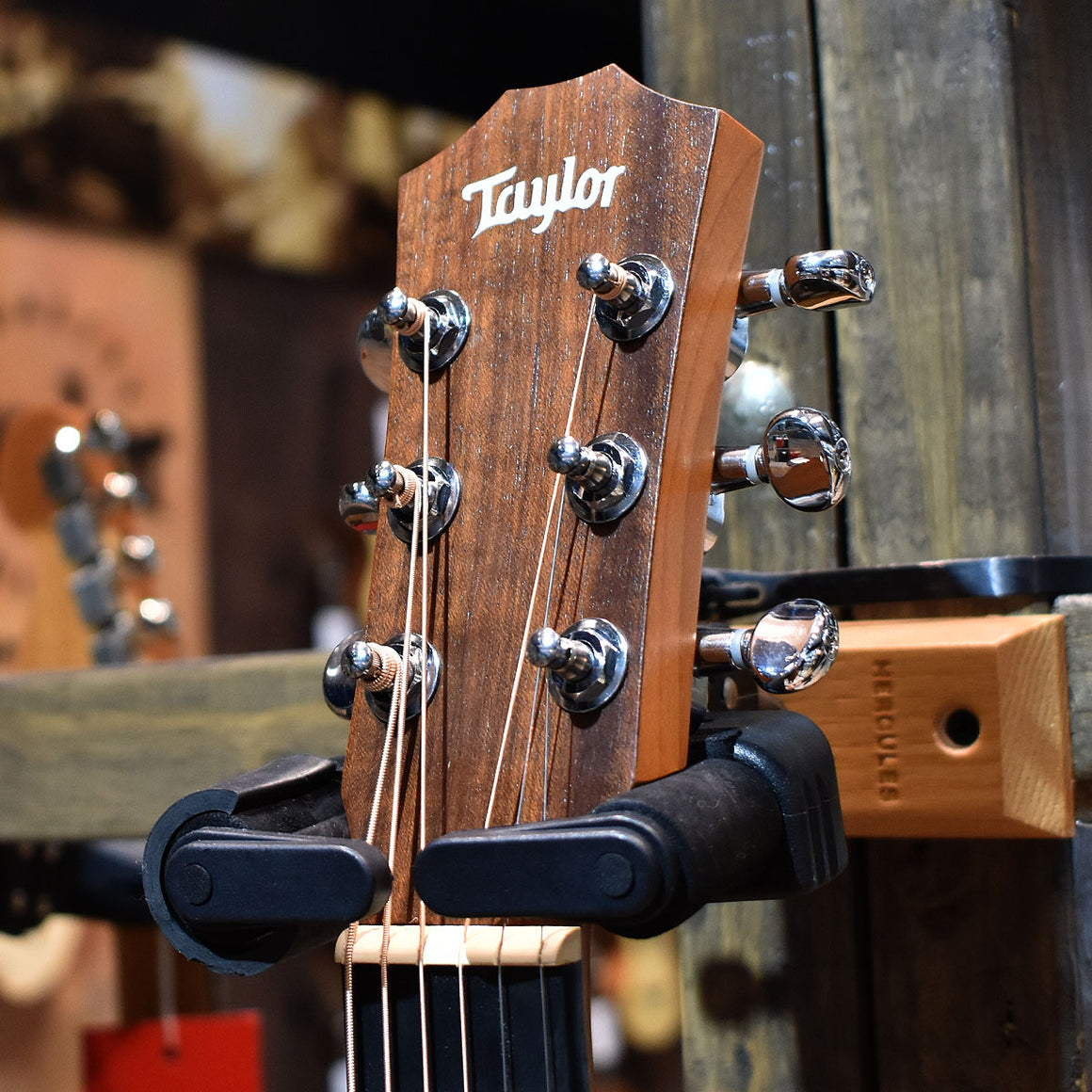 Taylor BT2e Electro-Acoustic Guitar w/ Gig Bag
