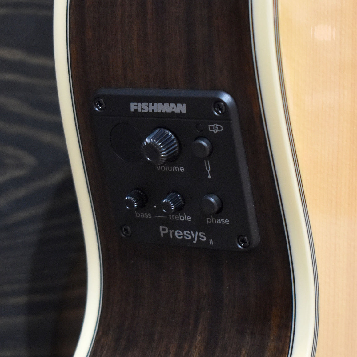 Washburn Festival EA20S Nuno Bettencourt Electro-Acoustic Guitar